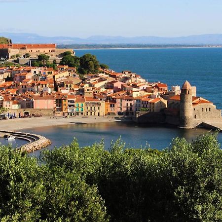Cosy Nid Douillet Au Coeur Du Centre Ville De Perpignan Bagian luar foto